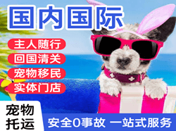 杭州萧山航空快递国际宠物托运 【国